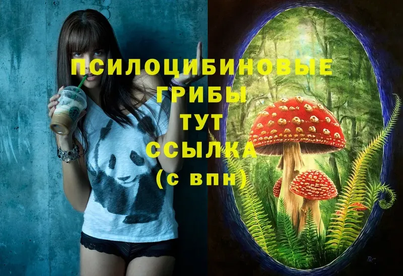 Псилоцибиновые грибы MAGIC MUSHROOMS  цены   Прохладный 